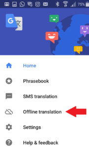 Google translate offline translation